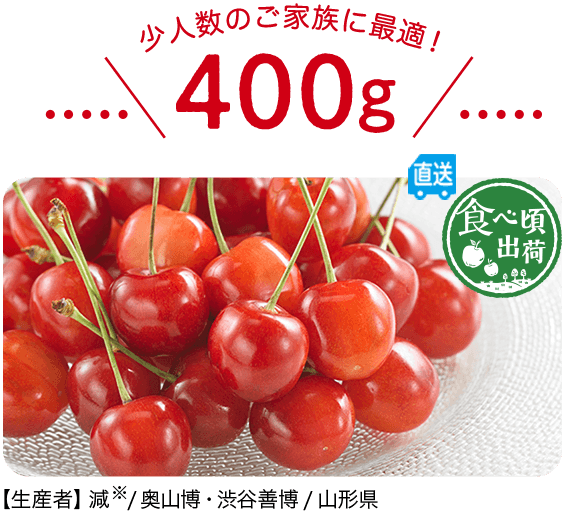 予約 奥山さんのさくらんぼ 500g