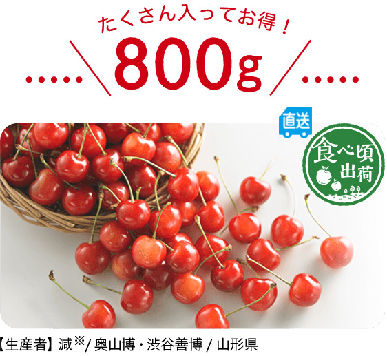予約 奥山さんのさくらんぼ 1kg