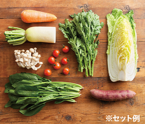少量多品目野菜セット（1〜2人前）