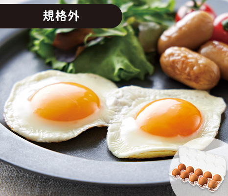 大地のもったいナイ小さな平飼卵　10コ