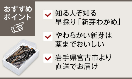 予約　直送　重茂早採り新芽やわらかわかめ春一番