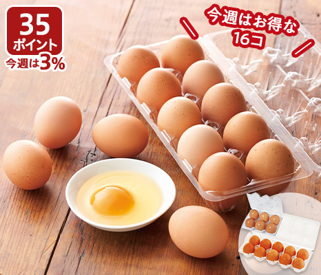 【お得】大地を守る会の平飼い卵(6コ+10コ)