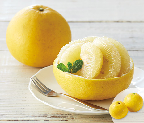 new-pick_item_02501922