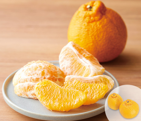 しらぬい（柑橘）・４５０ｇ