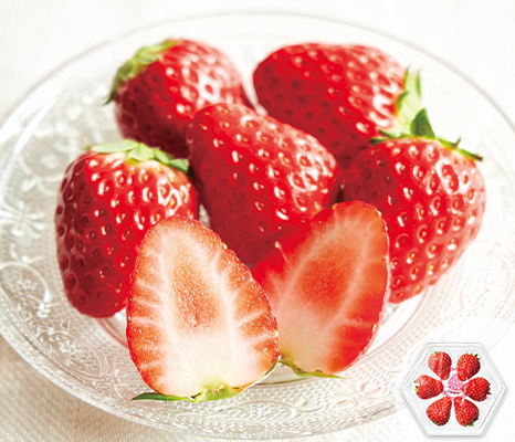 new-pick_item_02701506