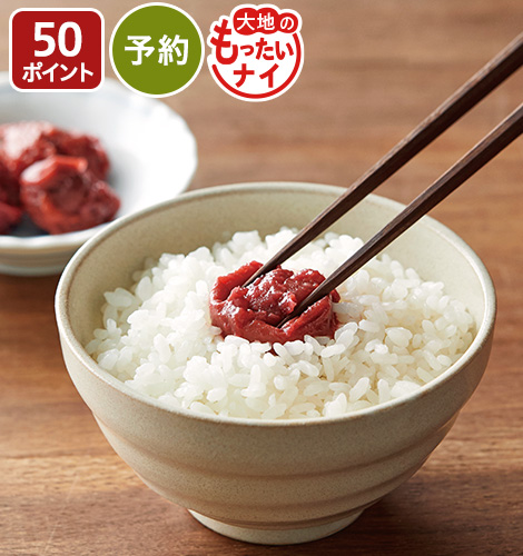 予約　大地のもったいナイくずれ梅干し６５０ｇ