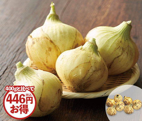 徳用九州の新玉ねぎ・1.5kg