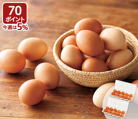  大地を守る会の平飼卵　10コ×2パック