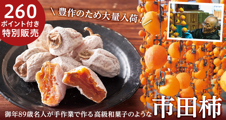 豊作のため大量入荷！150ポイント付き特別販売　市田柿