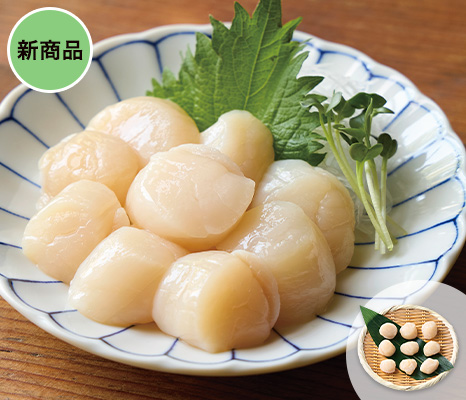sakana_item_13814876