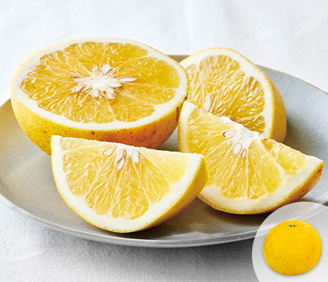 new-pick_item_02505469