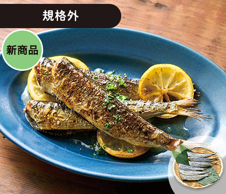 日本海産いわし丸干し