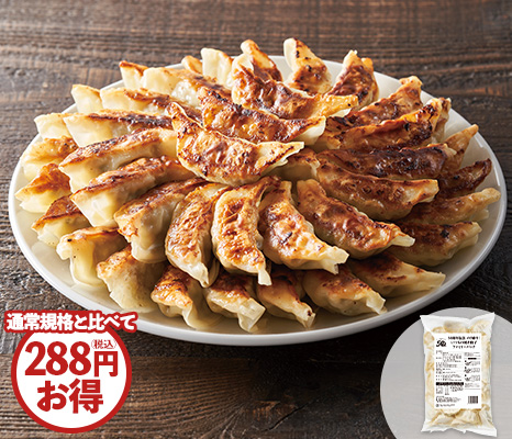 メガ盛り餃子