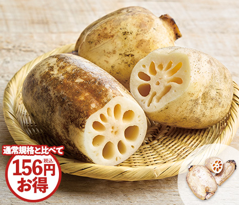 れんこん・500g
