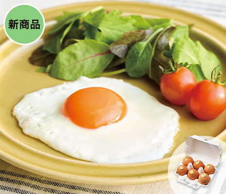 new-pick_item_10102523