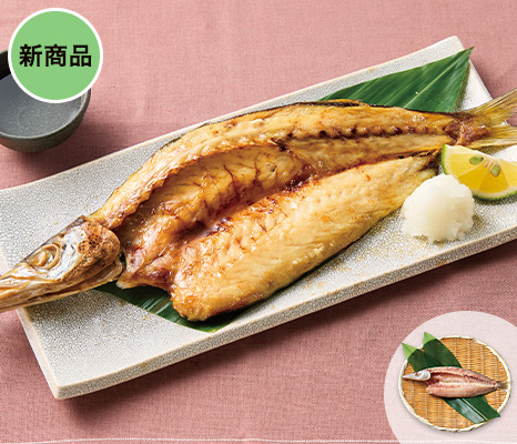 脂がのった大ぶり赤カマスの開き