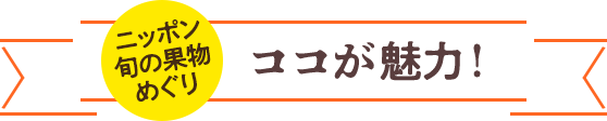 ニッポン果物めぐり 夏 ココが魅力!