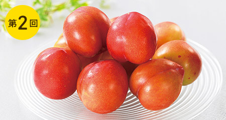 一宮大地のプラム(大石早生・他)