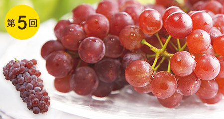 山梨のデラウェア(種無)