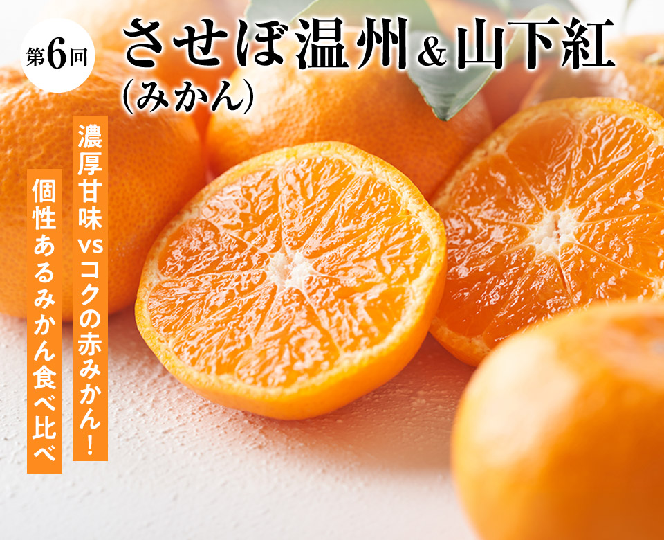 第6回 させぼ温州&山下紅 (みかん)