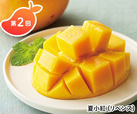 夏小紅マンゴー