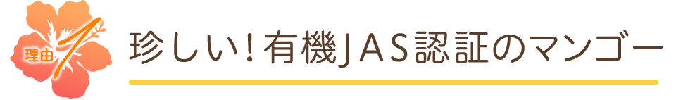 珍しい!有機JAS認証のマンゴー