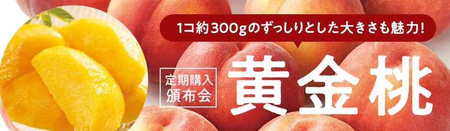 1コ約300gのずっしりとした大きさも魅力！ 定期購入 頒布会 黄金桃