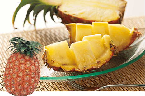 第1回 ボゴール