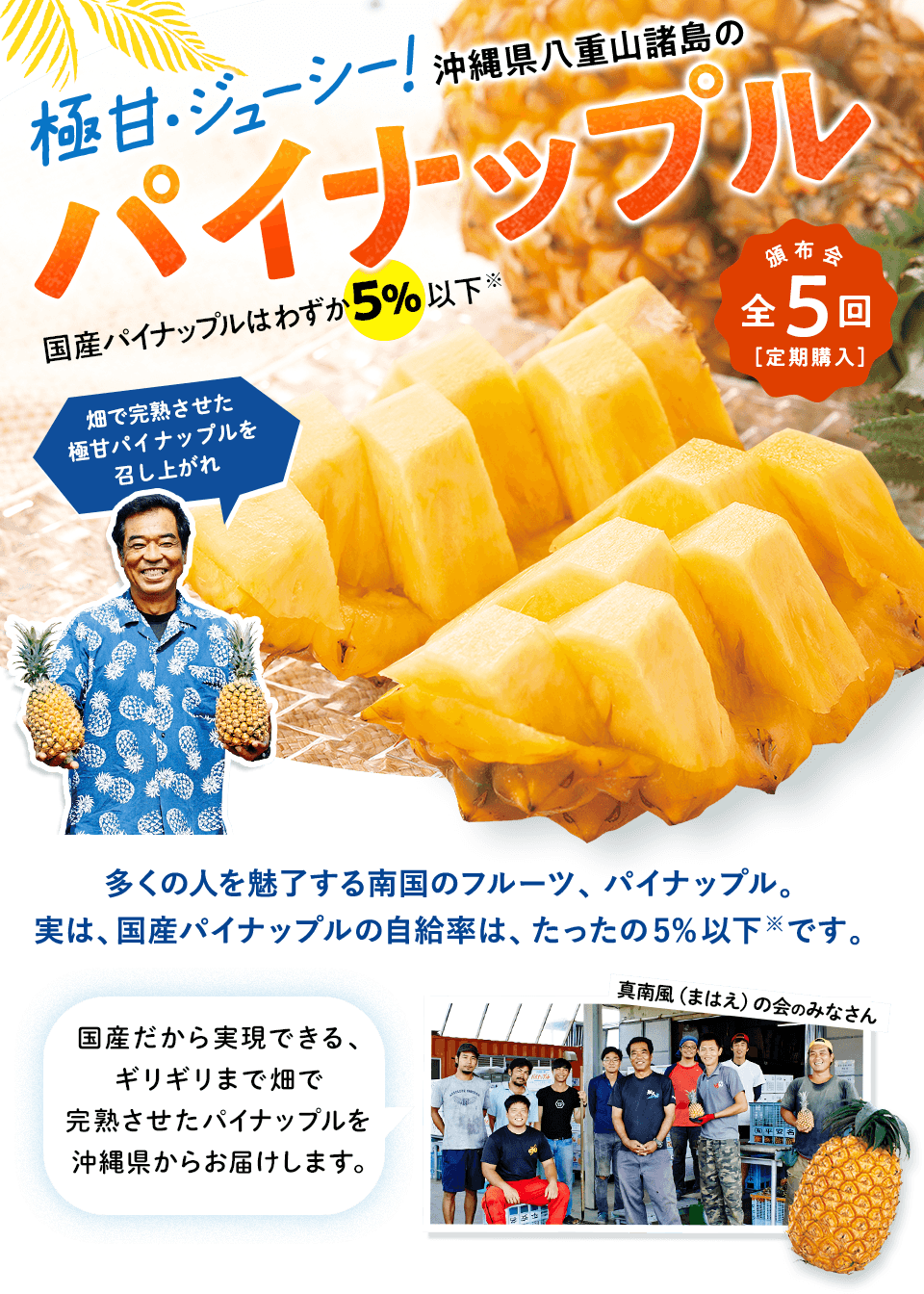 パイナップル頒布会 2026