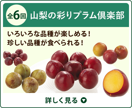 全6回 山梨の彩りプラム倶楽部