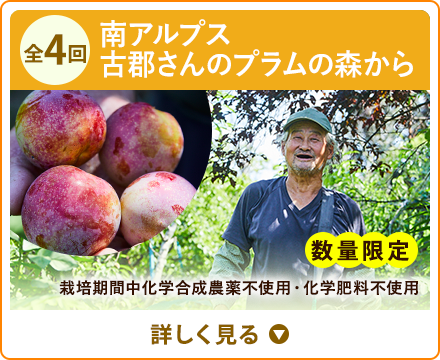 全4回 南アルプス古郡さんのプラムの森から