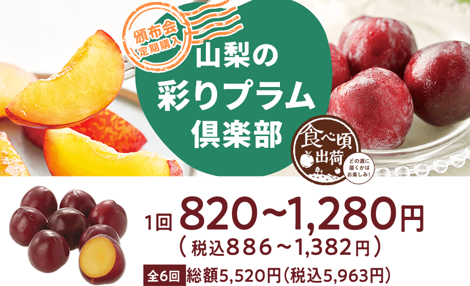 頒布会全6回 山梨の彩りプラム倶楽部