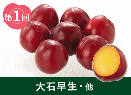 第1回：大石早生・他