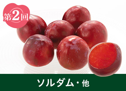 第2回：ソルダム・他