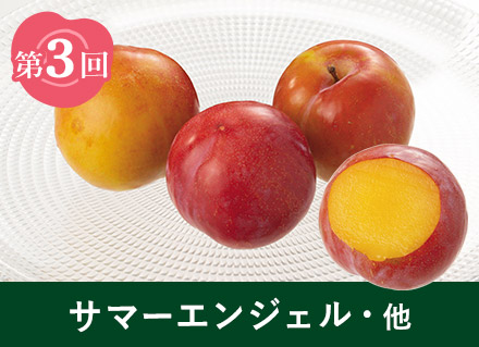 第3回：サマーエンジェル・他