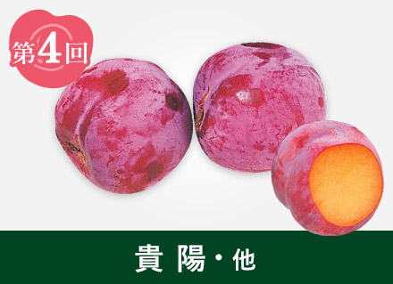 第4回：貴陽・他