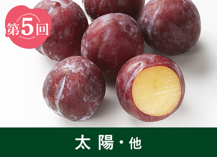 第5回：太陽・他