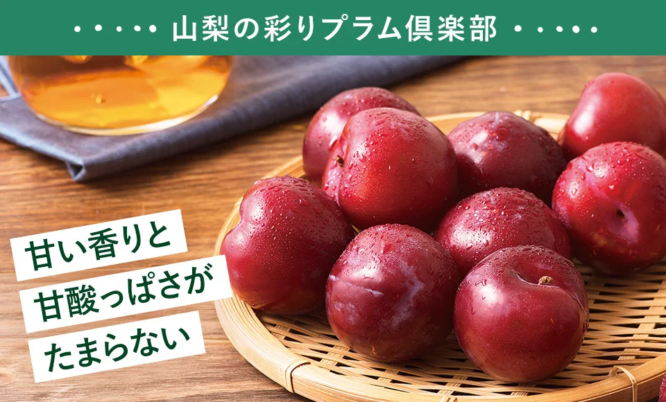山梨の彩りプラム倶楽部