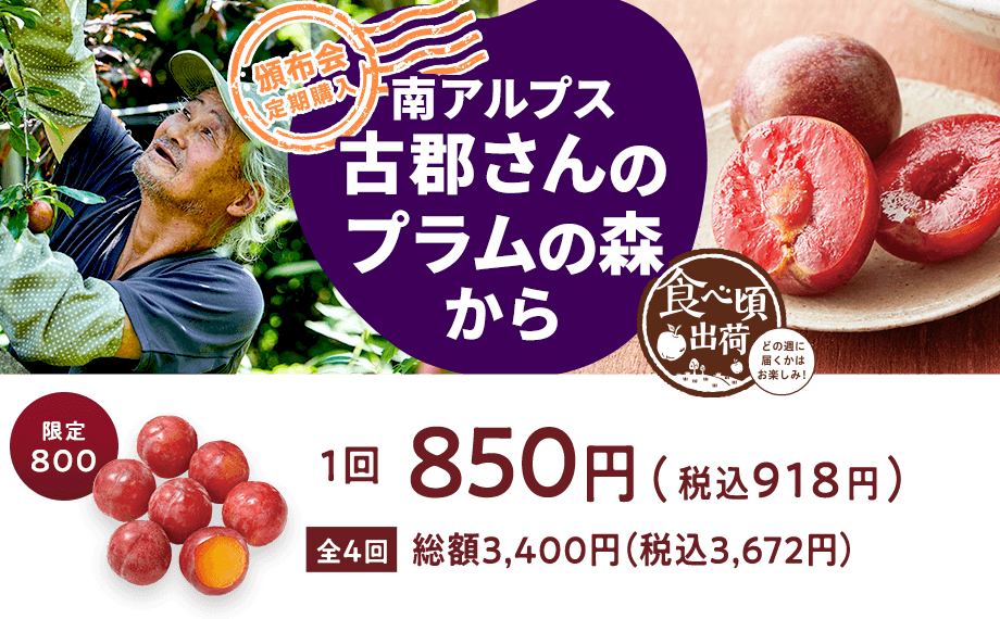頒布会全4回 南アルプス古郡さんのプラムの森から