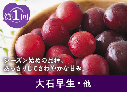 第1回：大石早生・他