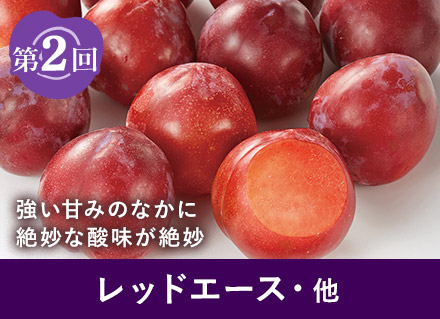 第2回：レッドエース・他