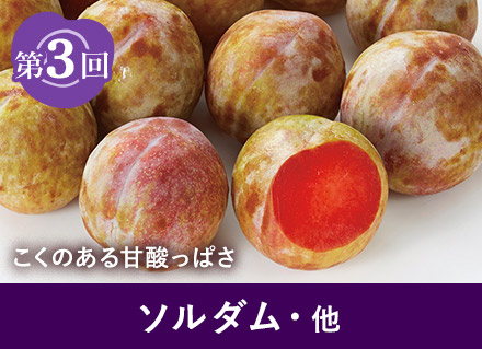 第3回：ソルダム・他