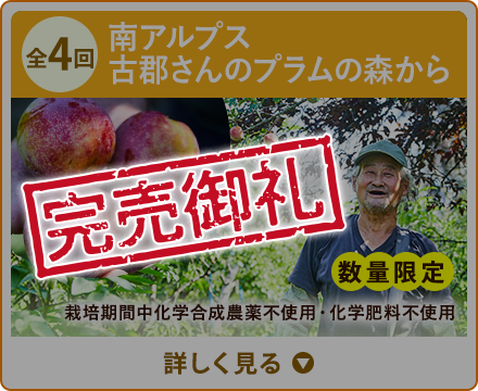 全4回 南アルプス古郡さんのプラムの森から