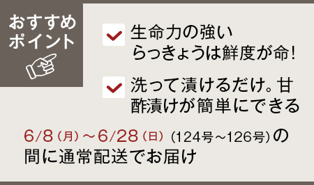 予約　らっきょう・１ｋｇ