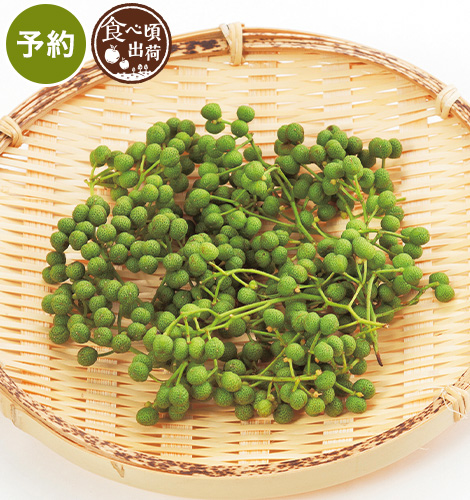 予約実山椒・３０ｇ