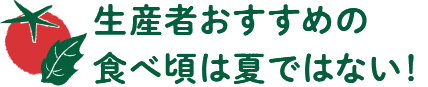生産者おすすめの食べ頃は夏ではない！
