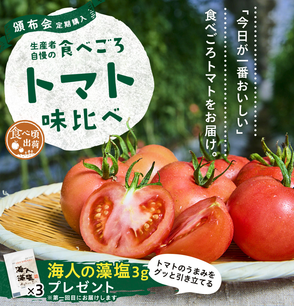 [頒布会]生産者自慢の食べごろトマト味比べ