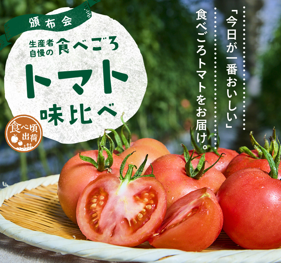 [頒布会]生産者自慢の食べごろトマト味比べ