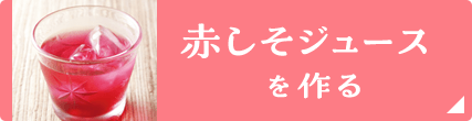 赤しそジュースを作る