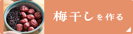 梅干しを作る